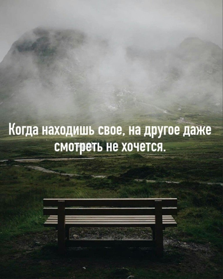 Стихи и цитаты - 27 августа 2025 в 09:41