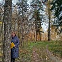 ���� �������, �������, 48 ��� - ��������� 22 ������� 2025