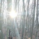 ���� �����, �����������, 58 ��� - ��������� 27 ������� 2023 � ������ ���� ����������