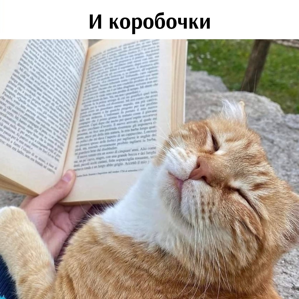       - 19  2025  12:50 - 3