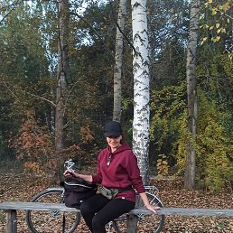 �����, �����������, 46 ���