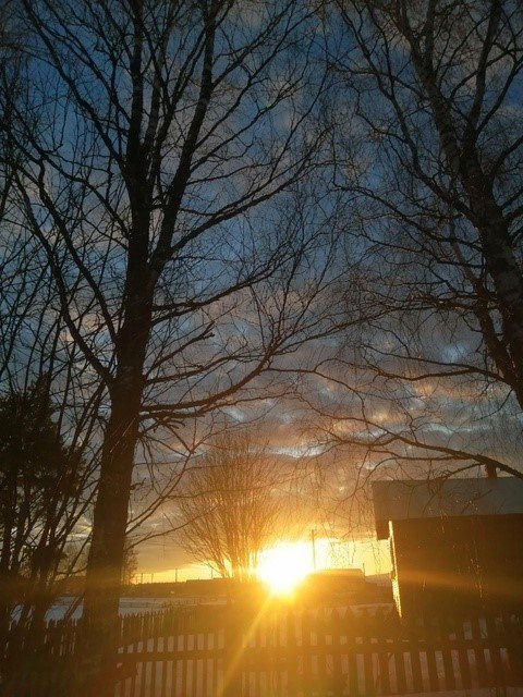 ���� ����������.� ������� �������� ������� ������� �������� ������.���� ������ �����������.������ ...