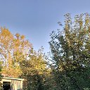 ���� ��������, ����, 62 ���� - ��������� 13 ������� 2026