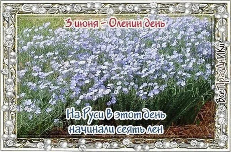 ��e����: ������, ������, ������, ����������, ������, ������, �����, ������� , �����, �����, �����. - 3