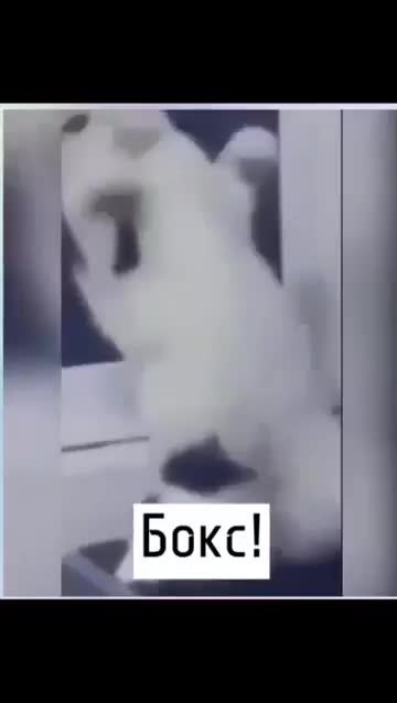 ������ ���� �������� � ���� ���� - 2