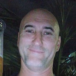 ������, �������, 46 ���