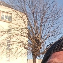 ����, ����, 55 ���