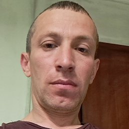 ����, �����-���������, 41 ���