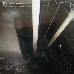 Vinod Kumar, ������, 24 ����