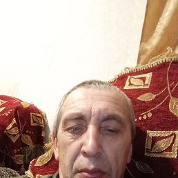 , 55, 