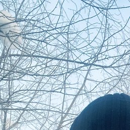 �������, ������, 48 ���