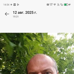 �������, 41 ���, ������