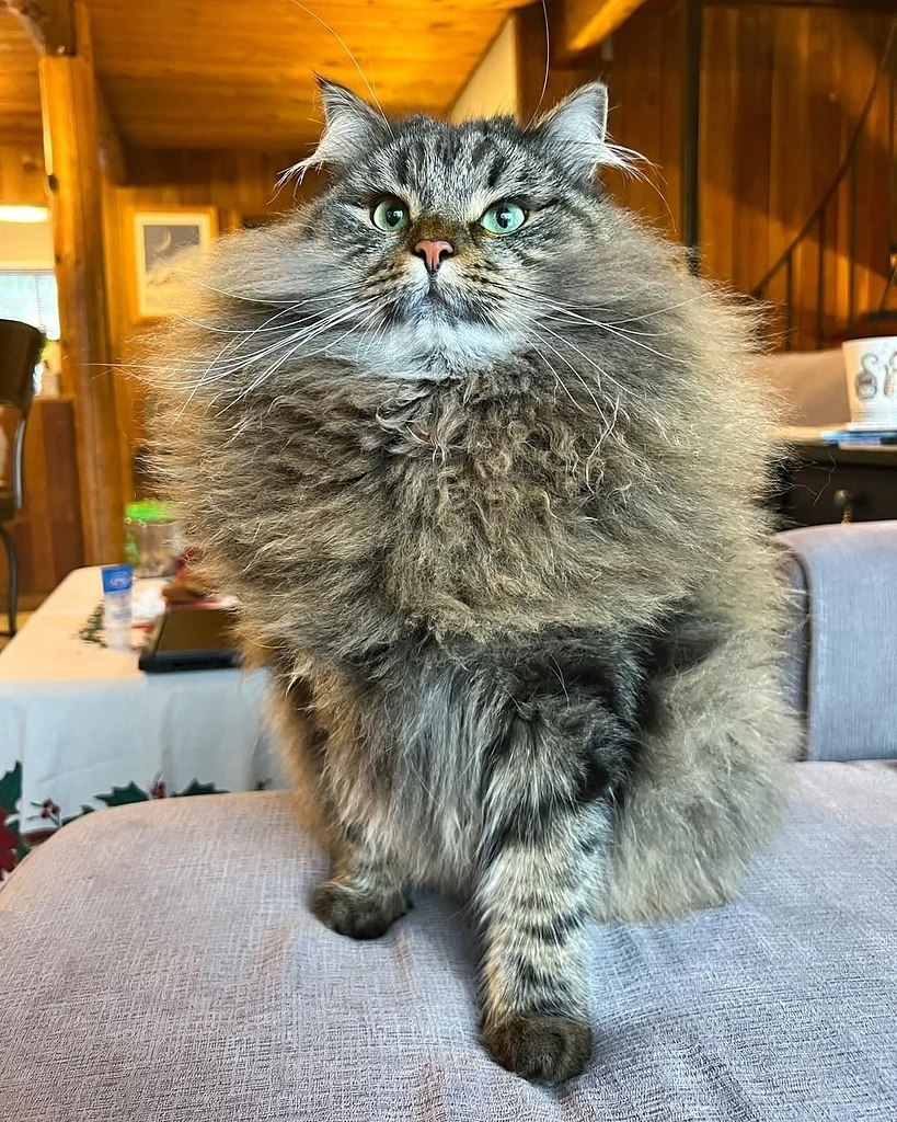  ,   .       ,  ! - 2