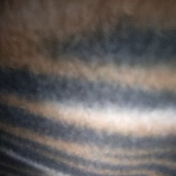 , , 30 