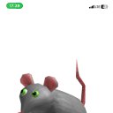 ���� ����, ������, 24 ���� - ��������� 1 ������� 2024 � ������ ���� ����������