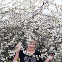 ���� ������, ��������, 57 ��� - ��������� 15 ������ 2025 � ������ ���� ����������