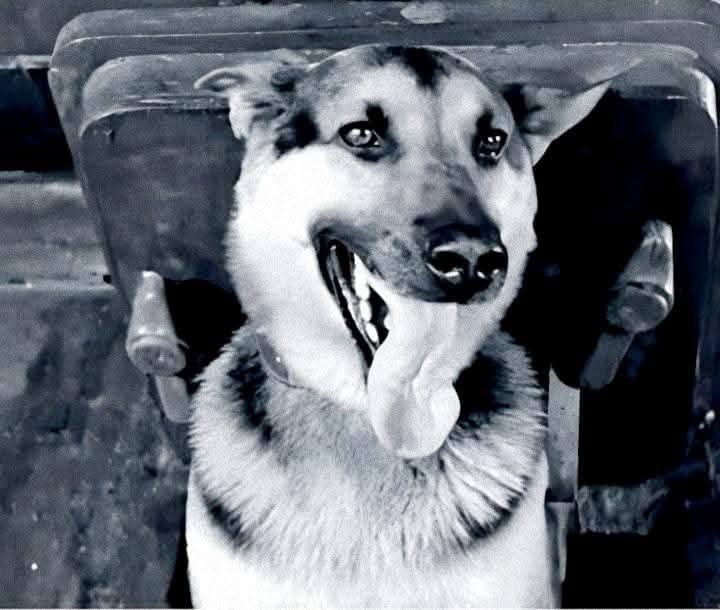 :) . ,   ,     . "   ...