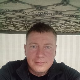 , 39, 