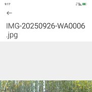 �����, 47 ���, ����