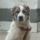 ���� �����, ������, 31 ��� - ��������� 4 ������ 2024 � ������ ���� ����������