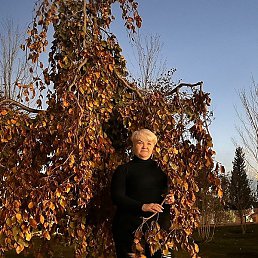 ���������, ������, 56 ���