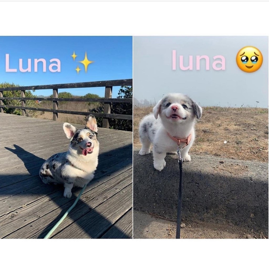  :3