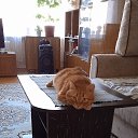 ���� ��������, ���������, 62 ���� - ��������� 30 ������ 2025 � ������ ������ ��������