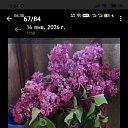 ���� ������ �� ���� ����, ������-��-����, 58 ��� - ��������� 17 ������ 2026 � ������ ���� ����������