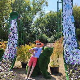 �������, 36 ���, ���������