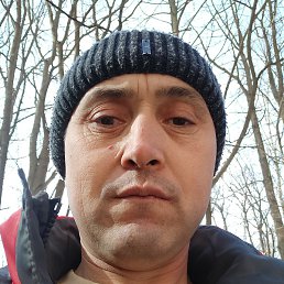 ����� ���������, ������, 43 ����