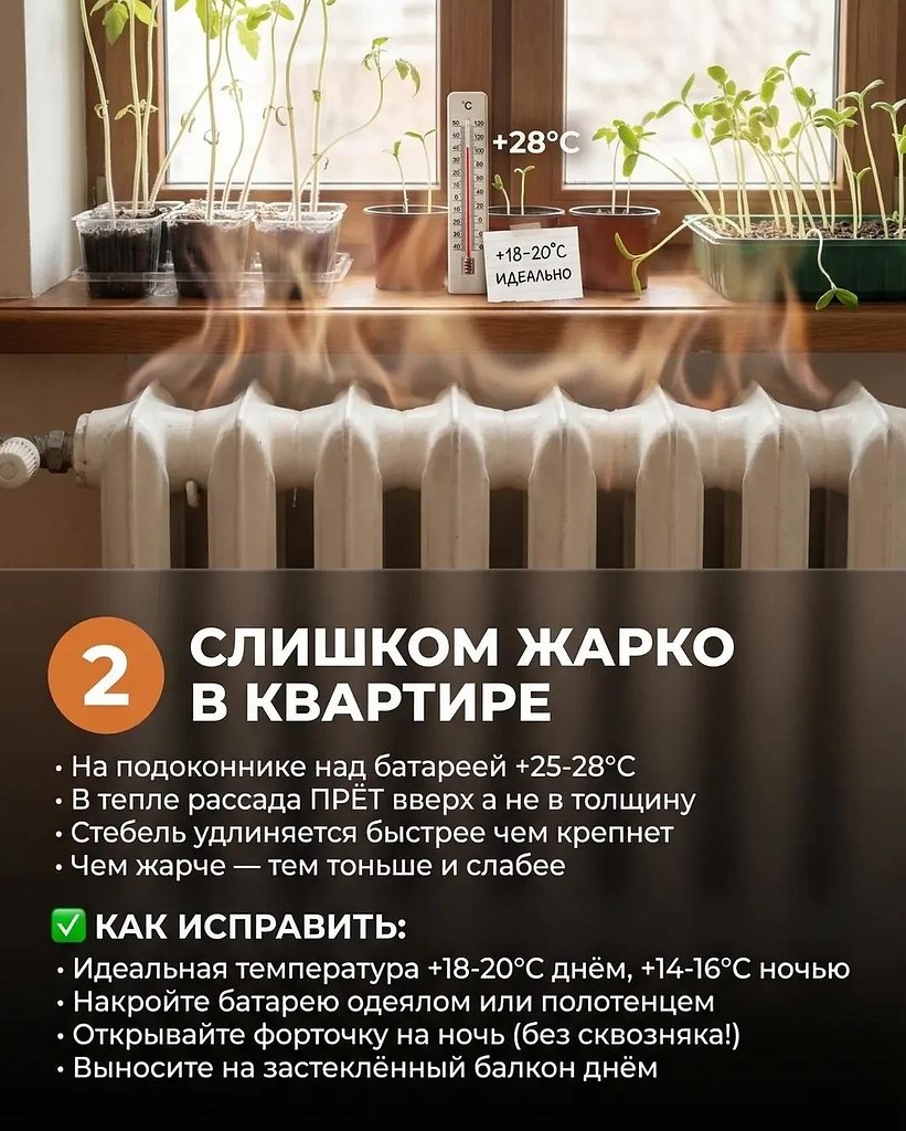 �����������������?�5����������������.�Ӡ���x������������x������������������?�������y���������x����:���������ࠠ��������10-11������,��y���14-16��������������LD��������������������y����������頠�������������������28�C�����������������x����������y��y���18-20�C���,�14 - 3