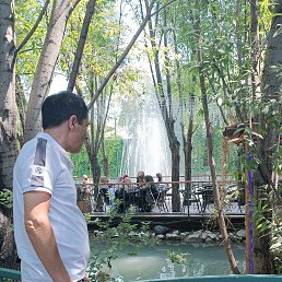 ���� ����, ������, 56 ��� - ��������� 4 ������ 2025