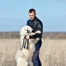 ������, 41 ���, �����-���������