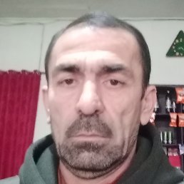 �����, �������, 49 ���