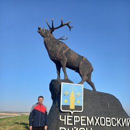 ���������, 38 ���, �������