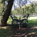 ���� Sania, ������ - ��������� 30 ��� 2024 � ������ ���� ����������