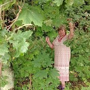 Елена, 55 лет, Калининград Елена, 55 лет, Калининград