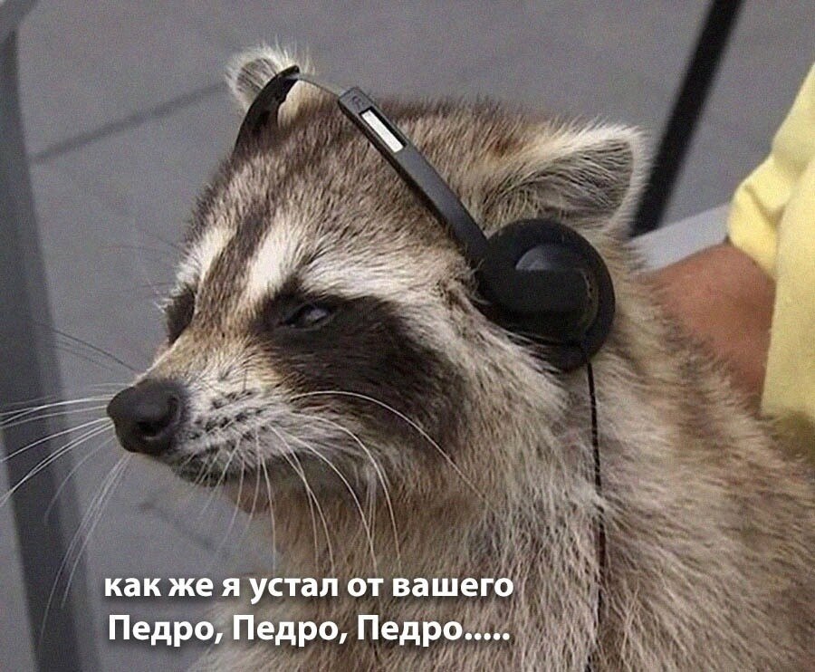    - 20  2024  20:40