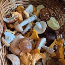 ���� �����, �������, 54 ���� - ��������� 17 ������� 2025 � ������ ������ ��������