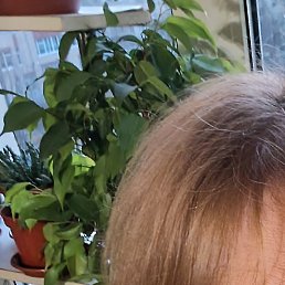 ������, �����-���������, 50 ���