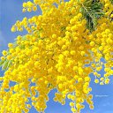 ���� ����, ���� - ��������� 8 ����� 2025 � ������ ������ ��������