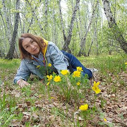 �������, ������, 66 ���