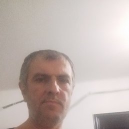 , 49, 