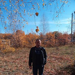 ���, ������-��-���, 37 ���