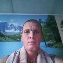 �����, 41 ���, �������