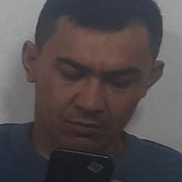 ����, �����, 33 ����