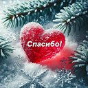 ���� ����, ���������, 54 ���� - ��������� 20 ������� 2026 � ������ ���� ����������
