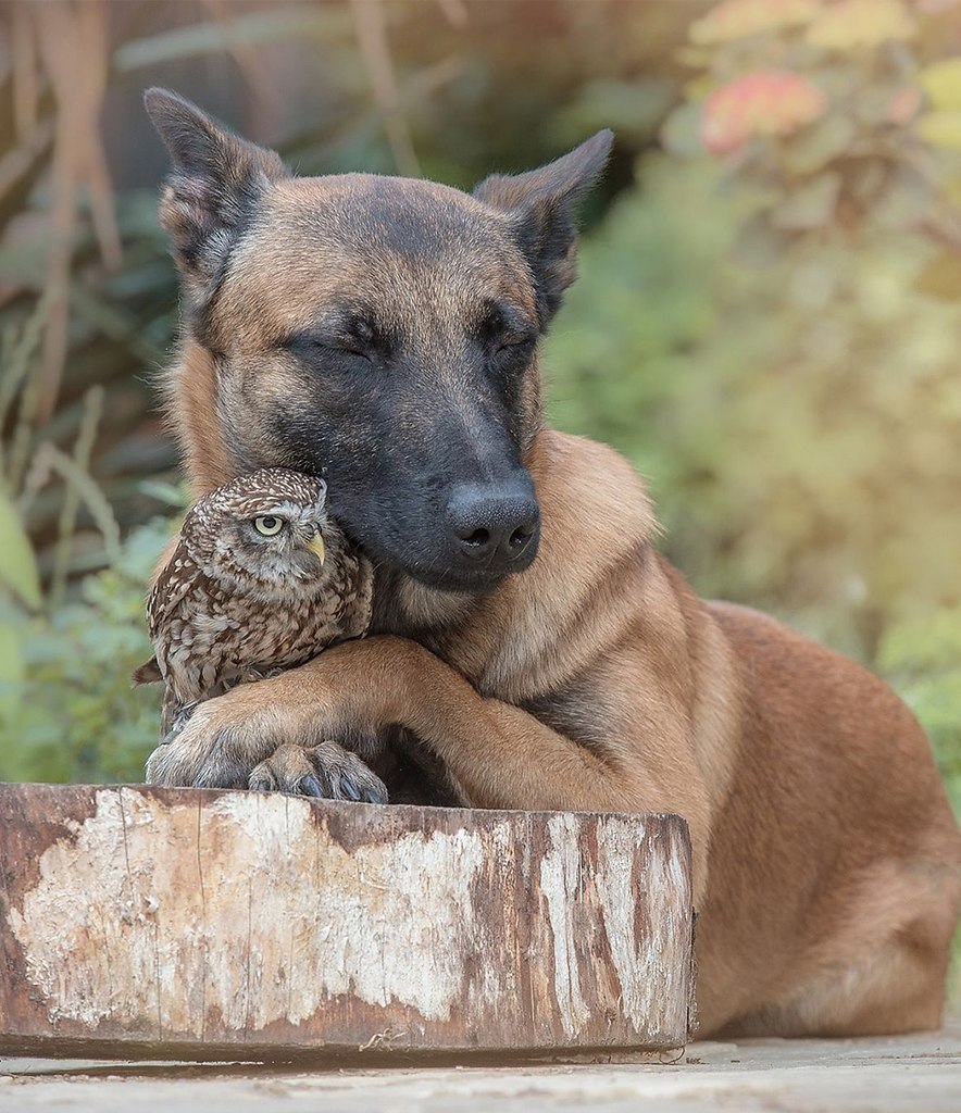 �������� �������� ���� ������ �������� �������� ����� ������ �������, ��� ����������� ������� ���� ... - 8