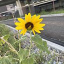 ���� Vitaliy, ����, 47 ��� - ��������� 5 ������� 2025 � ������ ���� ����������