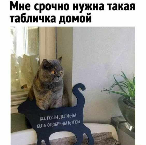   - 30  2024  22:56